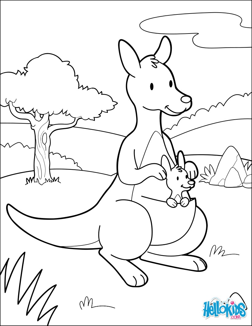Colorear Canguros Canguro Kangaroo Canguru Saltando Kangourou Colorear Canguros Canguro Kangaroo Canguru Saltando Kangourou