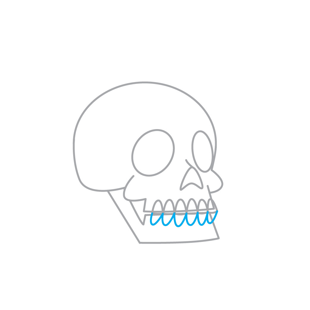 Ilustración : El Cráneo
