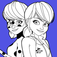 Dibujos Para Colorear Ladybug Y Chat Noir Es Hellokids Com