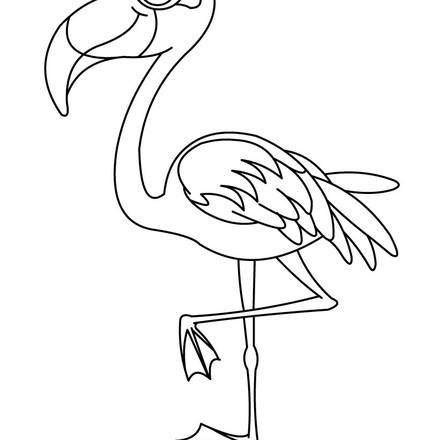 Dibujos de AVES y pájaros 68 dibujos de animales para colorear y