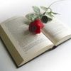 Rinc�n de los peque�os poetas