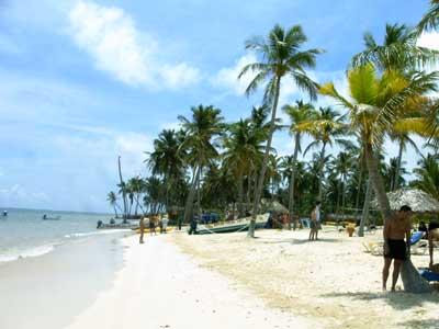 paisajes tropicales del mundo