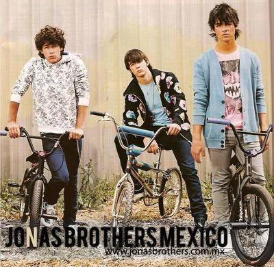 jonas brothers en mexico photograph