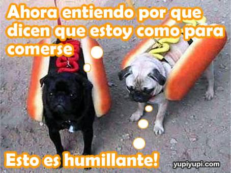 Perritos Salchichas
