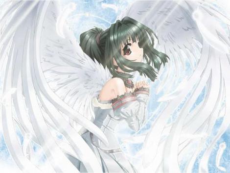 Cielo