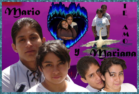 amor. fondos de pantalla fondos de pantalla de amor. amor. fondos de pantalla