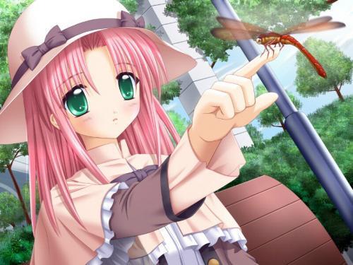 imagenes imagenes