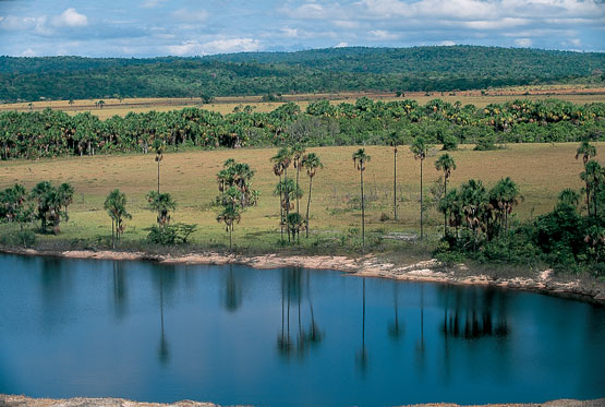 paisajes venezolanos
