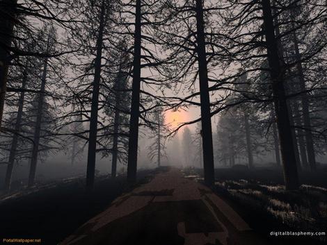 bosques tenebrosos para colorear