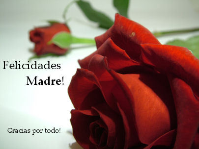 poemas bellos para el dia de la madre