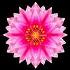 Mandalas: nivel EXPERTO - MANDALAS: dibujos para colorear - Colorear