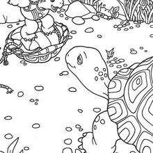 Franklin 23 - Dibujos para Colorear y Pintar - Dibujos para colorear PERSONAJES - PERSONAJES ANIME para colorear - Franklin la tortuga para pintar
