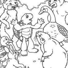 Franklin 25 - Dibujos para Colorear y Pintar - Dibujos para colorear PERSONAJES - PERSONAJES ANIME para colorear - Franklin la tortuga para pintar