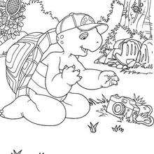 franklin 5 - Dibujos para Colorear y Pintar - Dibujos para colorear PERSONAJES - PERSONAJES ANIME para colorear - Franklin la tortuga para pintar