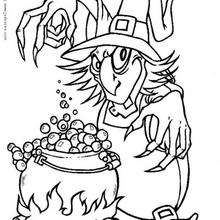 La pócima mágica de la bruja - Dibujos para Colorear y Pintar - Dibujos para colorear FIESTAS - Dibujos para colorear HALLOWEEN - Dibujos de BRUJAS para colorear - Dibujo POCIMA DE BRUJA para colorear