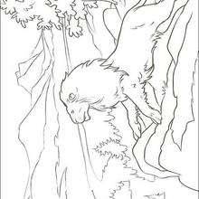 El león Aslán - Dibujos para Colorear y Pintar - Dibujos DISNEY para colorear - Dibujos para colorear LAS CRONICAS DE NARNIA  - Dibujos para colorear EL LEON, LA BRUJA Y EL ARMARIO