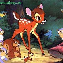 Fondo de pantalla : Bambi en el bosque