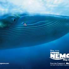 Nemo, Dory, la ballena - Dibujar Dibujos - Dibujos para DESCARGAR - FONDOS GRATIS - Fondos de escritorios Disney