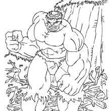 Hulk furioso - Dibujos para Colorear y Pintar - Dibujos para colorear SUPERHEROES - Hulk para colorear
