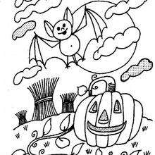 Dibujo para colorear : Calabaza y murcielago de Halloween