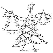 Dibujo Arbol de Navidad afuera para colorear - Dibujos para Colorear y Pintar - Dibujos para colorear FIESTAS - Dibujos para colorear de NAVIDAD - Dibujos para colorear ARBOL DE NAVIDAD