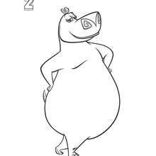 Dibujo para colorear : Gloria el Hipopótamo