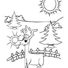 Dibujos para colorear reno de navidad 
