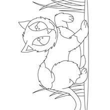 Dibujo de un gato salvaje - Dibujos para Colorear y Pintar - Dibujos para colorear ANIMALES - Dibujos GATOS para colorear - Dibujos para colorear e imprimir GATOS