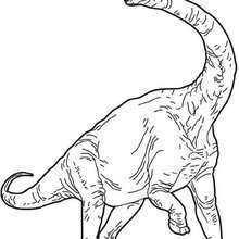 Dibujo para colorear : Braquiosaurio gigante