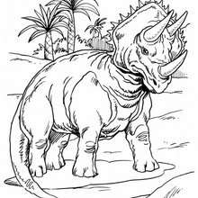 Dibujo para colorear : Triceratops Prorsus