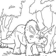 Dibujo para colorear : Triceratops adulto