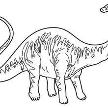 Dibujo dinosaurio diplodocus - Dibujos para Colorear y Pintar - Dibujos para colorear ANIMALES - Dibujos para colorear DINOSAURIOS - Colorear dinosaurios DIPLODOCUS
