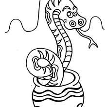 Dibujo para colorear : serpiente encantada