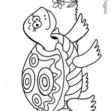 Dibujo para colorear Tortuga - Dibujos para Colorear y Pintar - Dibujos para colorear ANIMALES - Dibujos REPTILES para colorear - Colorear dibujos TORTUGA - Dibujos para imprimir TORTUGAS