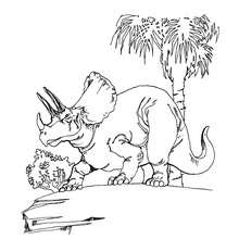 Dibujo triceratops dinosaurio - Dibujos para Colorear y Pintar - Dibujos para colorear ANIMALES - Dibujos para colorear DINOSAURIOS - Pintar dinosaurio TRICERATOPS