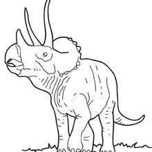Dibujo para colorear : Triceratops para niños