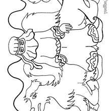 Dibujo para colorear : la BEDUINA con su camello