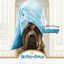 Fondo Hotel para perros: Lenny belleza - Dibujar Dibujos - Dibujos para DESCARGAR - FONDOS GRATIS - Fondos e íconos: Hotel para Perros