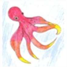 animales acuaticos, Curso de dibujo y coloreables del Mar