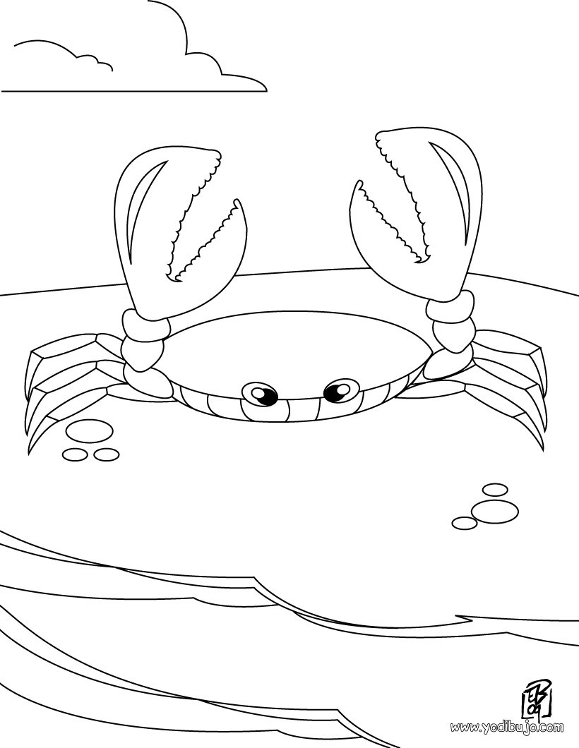 Dibujos para colorear un cangrejo 