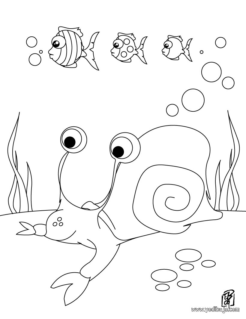 Dibujos para colorear un caracol de mar 