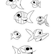 Dibujos para colorear un grupo de peces 