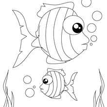 Dibujo de peces rayados - Dibujos para Colorear y Pintar - Dibujos para colorear ANIMALES - Dibujos ANIMALES MARINOS para colorear - Colorear PECES - Dibujo para pintar PEZ RAYADO