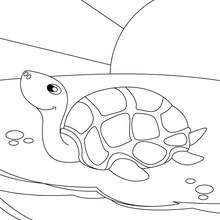 Dibujo para colorear : una tortuga de mar