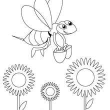 Dibujo avispa - Dibujos para Colorear y Pintar - Dibujos para colorear ANIMALES - Dibujos INSECTOS para colorear - Insectos para colorear GRATIS