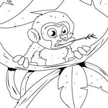 Dibujo para colorear : mono en los arboles