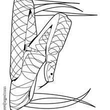 Dibujo para colorear : serpiente de cascabel