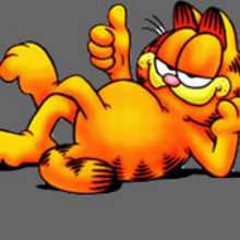 Asi es Garfield...