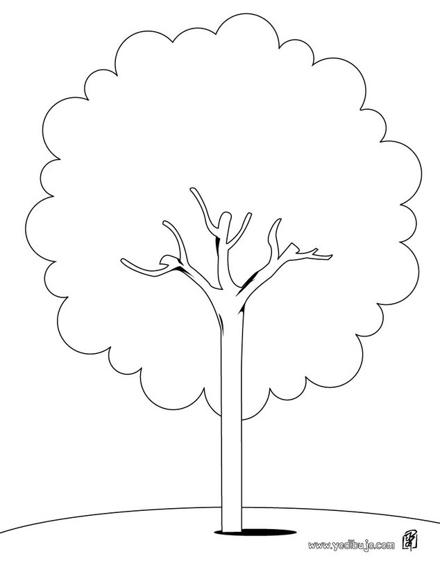 Dibujos para colorear un árbol castaño - es.hellokids.com