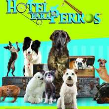 Hotel Para Perros PC - Juegos divertidos - CONSOLAS Y VIDEOJUEGOS